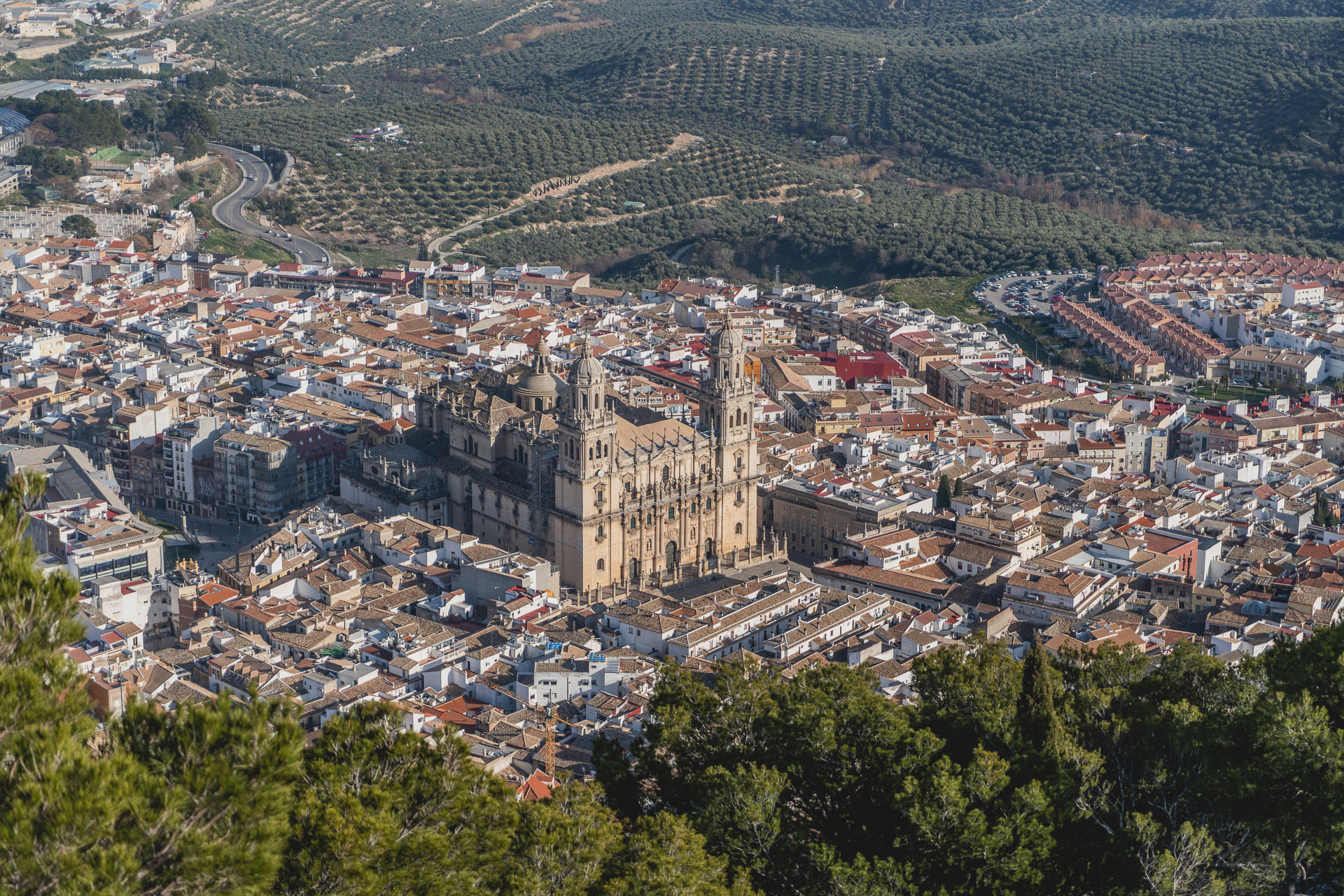 Catedral de Jaén vista desde el castillo